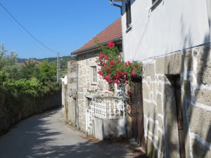 Casa-Ospelia-Viseu-Portugal-00