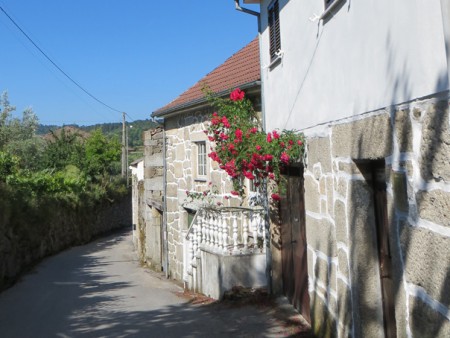 Casa-Ospelia-Viseu-Portugal-00