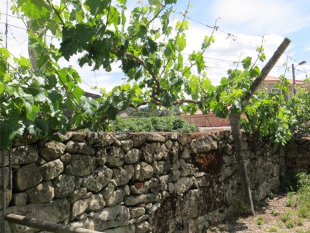 Casa-Ospelia-Viseu-Portugal